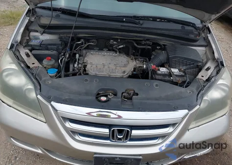 2005 Honda Odyssey Ex-L from USA, damaged, VIN 5FNRL38785B056570